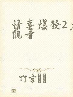 情事爆发2免费观看