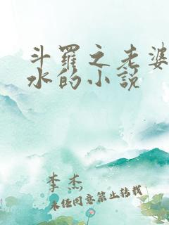 斗罗之老婆叶汐水的小说