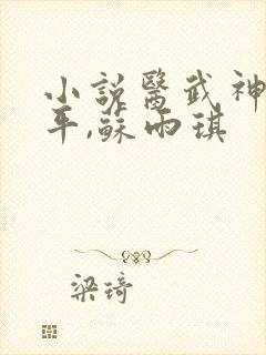 小说医武神王陈平,苏雨琪