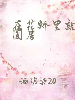 在花轿里就开始圆房