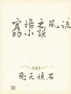 官场之风流医少的小说
