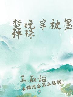 楚晚宁被墨燃塞弹珠