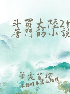 斗罗大陆2绝世唐门的小说