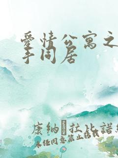 爱情公寓之与杀手同居