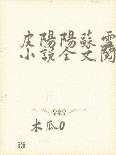皮阳阳苏雪晴的小说全文阅读