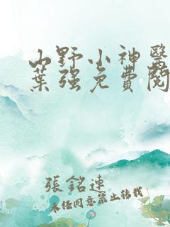 山野小神医小说叶强免费阅读