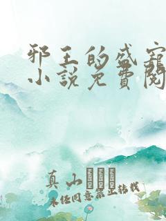 邪王的盛宠娇妃小说免费阅读全文