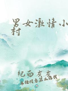 男女激情小说乡村