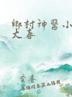 乡村神医小说王大春
