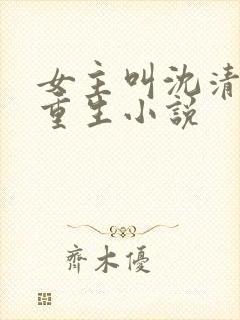 女主叫沈清梨的重生小说