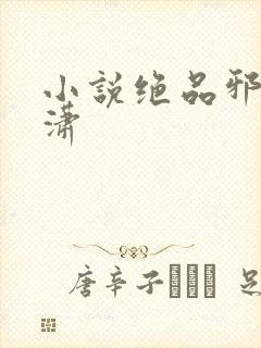 小说绝品邪少叶潇
