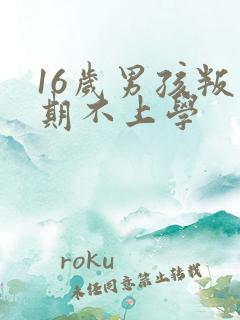 16岁男孩叛逆期不上学