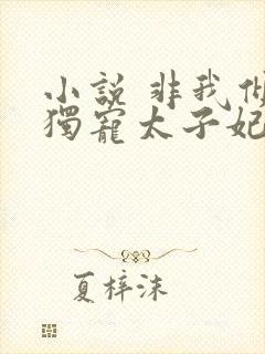 小说 非我倾城独宠太子妃