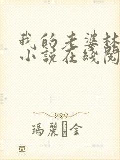 我的老婆林慧茹小说在线阅读