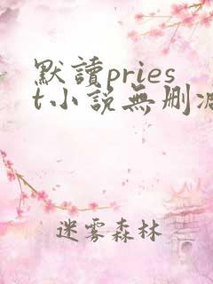默读priest小说无删减正版在线阅读
