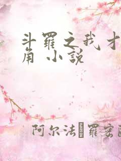 斗罗之我才是主角 小说