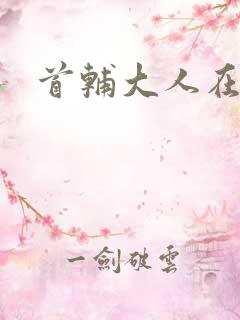 首辅大人在上