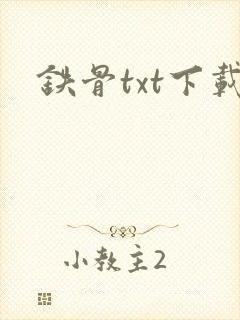 铁骨txt下载