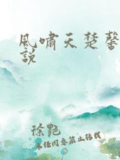 风啸天楚馨月小说