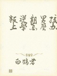 叛逆期男孩不想上学怎么办