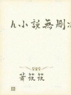 h小说无删减版