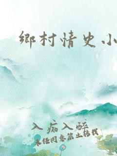 乡村情史小说