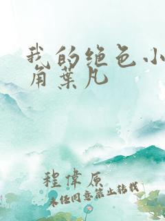 我的绝色小姨主角叶凡