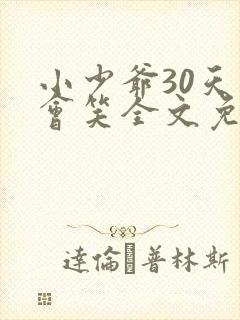 小少爷30天后会笑全文免费阅读