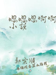 嗯嗯嗯啊啊啊的小说