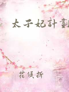 太子妃计划