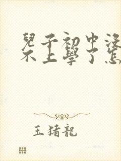 儿子初中没毕业不上学了怎么办