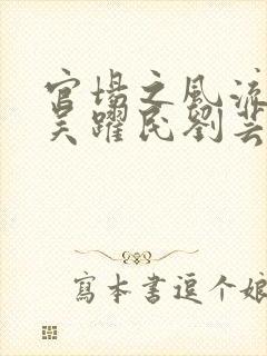 官场之风流医少吴跃民刘芸
