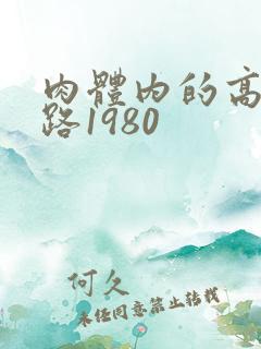 肉体内的高速公路1980