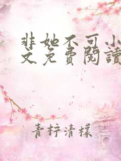 非她不可小说全文免费阅读无弹窗