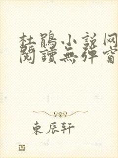 杜鹃小说网全文阅读无弹窗