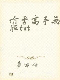 偷香高手无删减版txt
