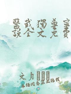 医武独尊宁天小说全文免费阅读