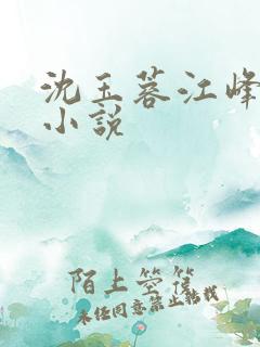 沈玉蓉江峰全文小说