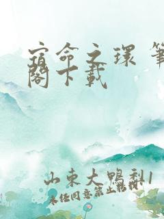 宿命之环 笔趣阁下载