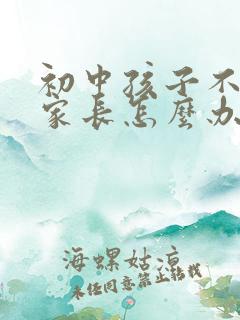 初中孩子不上学家长怎么办