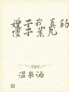嫂子我真的不是傻子叶凡