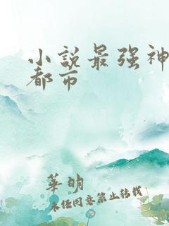 小说最强神医在都市