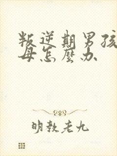 叛逆期男孩骂父母怎么办