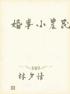婚事小农民