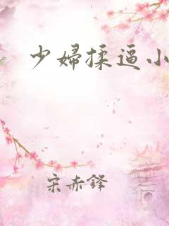 少妇揉逼小说