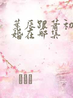 叶辰跟萧初然离婚在哪集