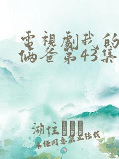 电视剧我的仨妈俩爸第43集