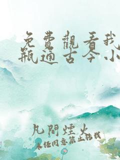 免费观看我家花瓶通古今小说