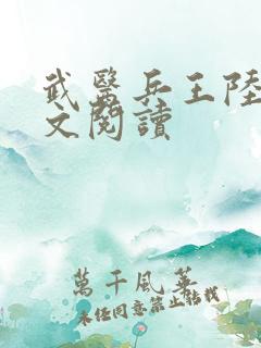 武医兵王陆轩全文阅读