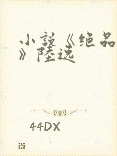 小说《绝品神医》陆逸